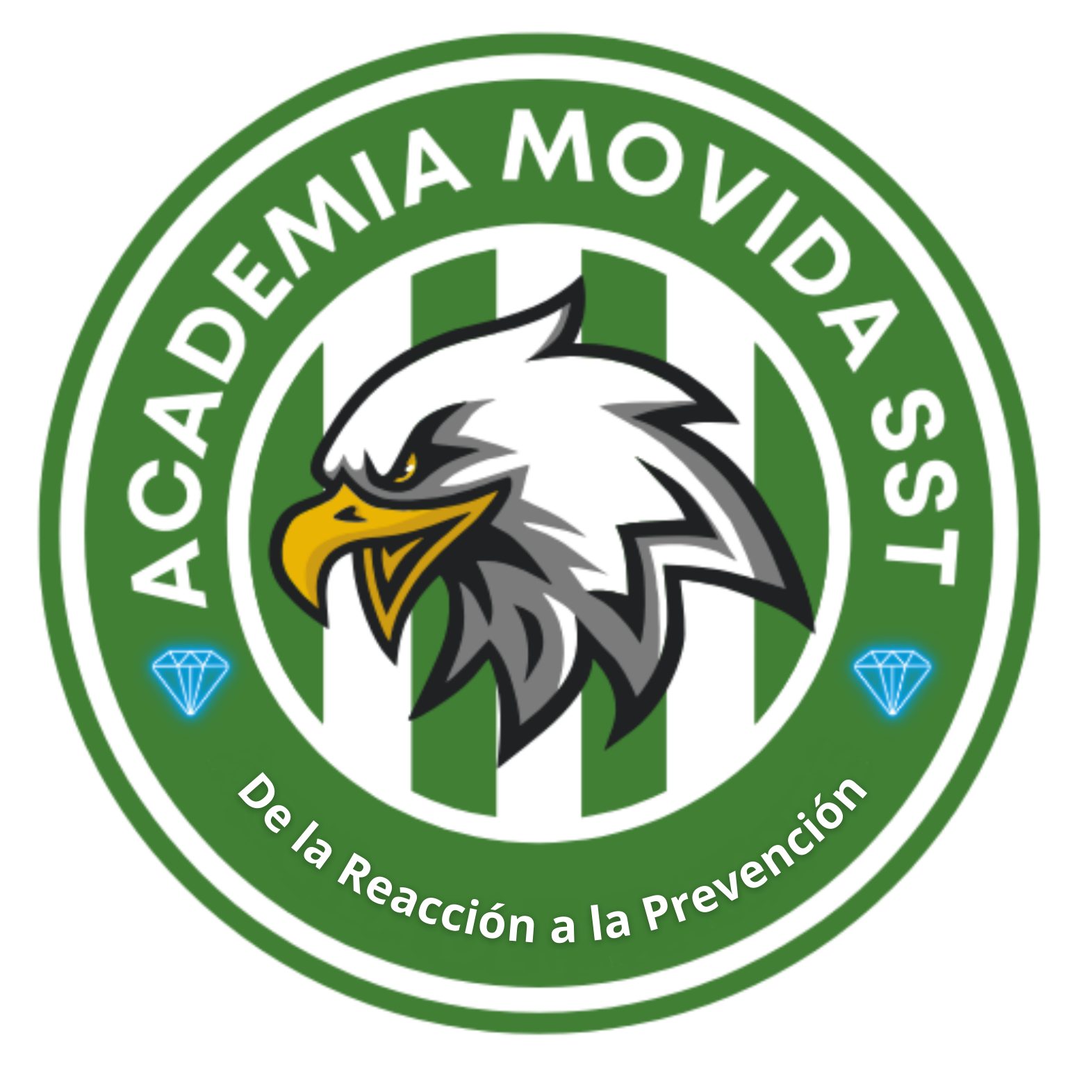 Academia Movida SST